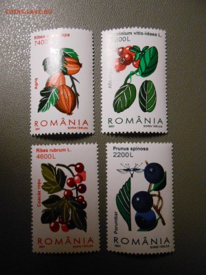 ЯГОДЫ, Румыния, чистые, до 05.04.2015 - DSCN6408.JPG