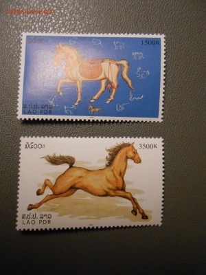 ЛОШАДИ, Лаос, чистые, до 05.04.2015 - DSCN6413.JPG