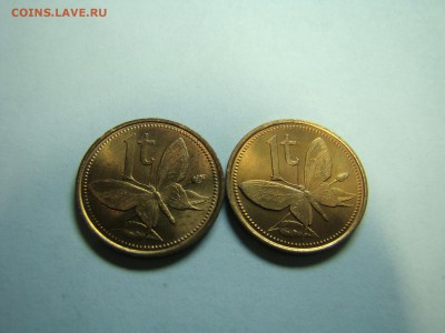 2 монеты 1 тоа 1981 Папуа Новая Гвинея 22.10 мск 05.04.2015 - DSC08116.JPG