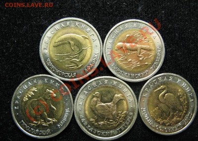 КРАСНАЯ КНИГА 1993г до 19.06.10 22-00 - 477.JPG