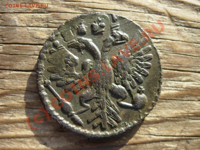 полушка перечекан 1731 или 1734 ? - DSCN5674.JPG