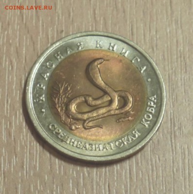 Красная Книга 1992"Среднеазиатская кобра" UNC(Мешок) до 5.04 - P1010049.JPG