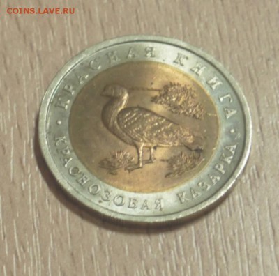Красная Книга 1992 "Краснозобая Казарка" UNC (Мешок) до 5.04 - P1010058.JPG
