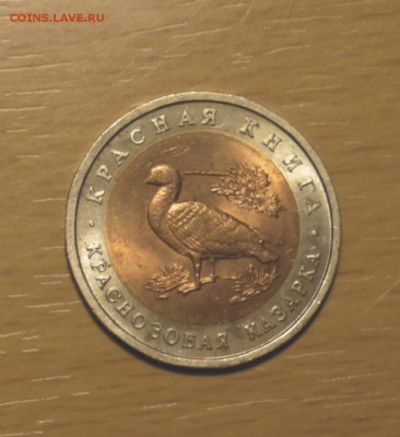 Красная Книга 1992 "Краснозобая Казарка" UNC (Мешок) до 5.04 - P1010065.JPG