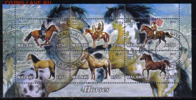 Малави мл 2012г Лошади до 6.04 22.00мск - Малави мл 2012г Лошади-2