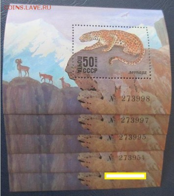 ФИКС. Красная книга. Леопард. 4 лота - 34.JPG