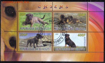 Джибути мл 2009г Собаки до 6.04 22.00мск - Джибути мл 2009г Собаки