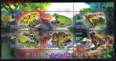Конго мл 2012г Лягушки до 6.04 22.00мск - Конго мл 2012г Лягушки