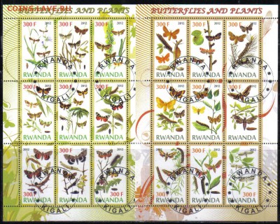 Руанда мл 2012г Бабочки до 6.04 22.00мск - Руанда мл 2012г Бабочки