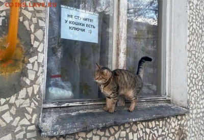 юмор - 1386073374_1386042025_1-6