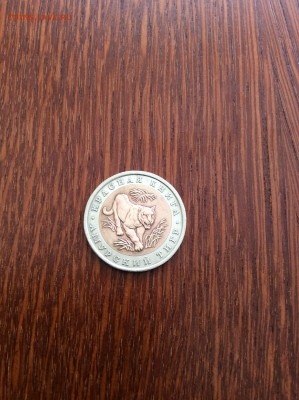 Красная книга АМУРСКИЙ ТИГР до 08.04.2015 21:00 МСК - image-04-04-15-07-33-2