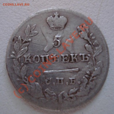 Вот такой диковенный пяточёк 1823 - DSC01791.JPG