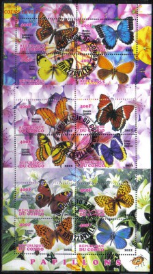 Конго мл 2012г Бабочки до 7.04 22.00мск - Конго мл 2012г Бабочки