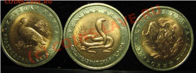 КРАСНАЯ КНИГА 1992г. ДО 21.06.2010г. 22-00 - 492.JPG