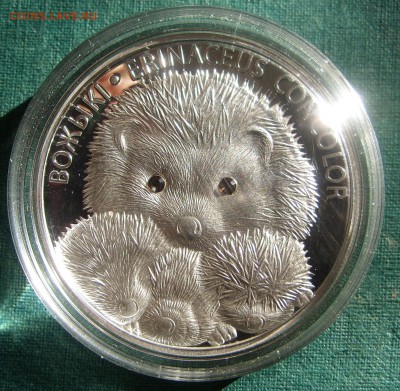 БЕЛАРУСЬ "ВОЖЫКI"-20 руб Короткий!(22.00-08.04) - ВОЖЫКI