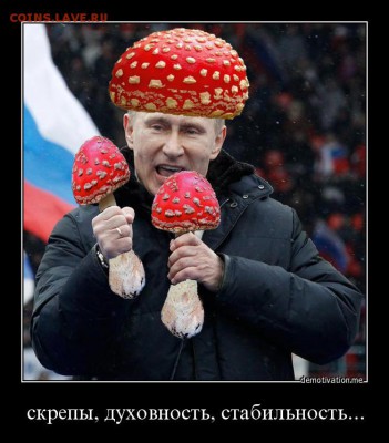 юмор - 5wfzmyj67zl8