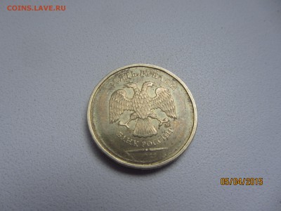 Помогите оценить брачек.. - IMG_6021.JPG