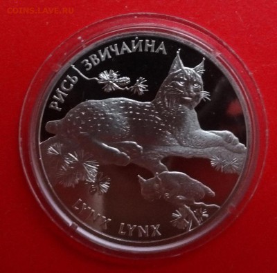 Юбилейные и обиходные монеты УКРАИНЫ (тема пополняется) - DSC04161.JPG