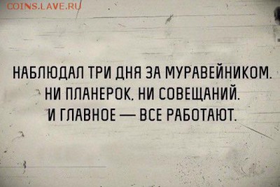 Что будет дальше с нашим "деревянным" (рублем)? - image