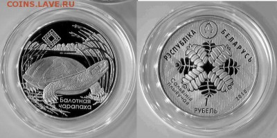 БЕЛАРУСЬ 2010г Черепаха.Средняя Припять. ТИРАЖ 3000шт. До 10 - Черепаха.