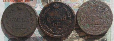 2 копейки 1810г.ем нм,3шт.,пчелки.до9.04.15. 22-30 по Мск. - IMG_6395.JPG