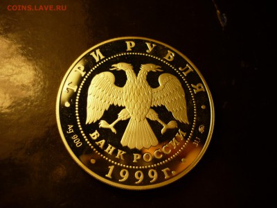 3р Раймонда похищение, до 09.04 22-00 - P1090449.JPG