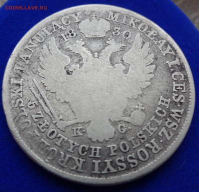 РУССКАЯ ПОЛЬША 5 ЗЛОТЫХ 18630 до 10.04.15 в 22:00 - DSC00404.JPG