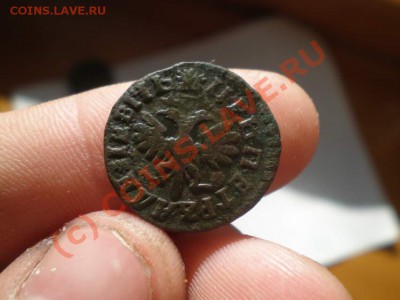 деньга 1712 года - P6170032_thumb