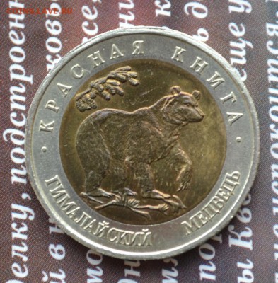 Красная книга 50р 1993 Гималайский медведь до 10.04 - медведь доп а