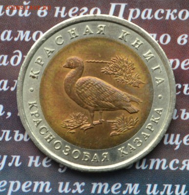 Красная книга 10 р 1992 Краснозобая казарка до 10.04 - казарка 2 а