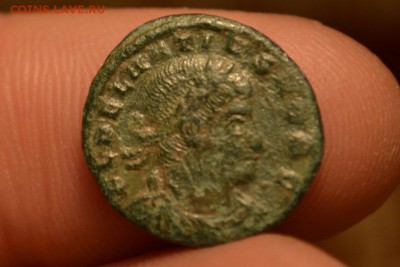 Далмаций Младший 335-337 Нечастый император - CSC_0499.JPG