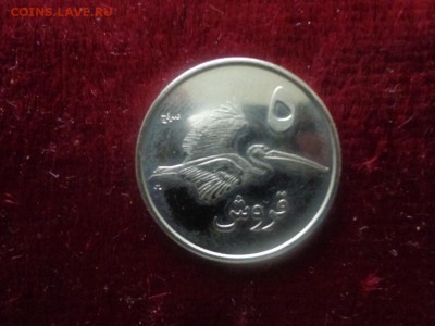 Палестина 5 динаров 2010 до 11.04. - DSC00907.JPG