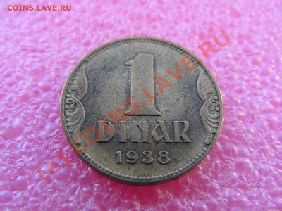 -Югославия- 1 динар 1938 -- 22 июня 21-00 - PICT0699.JPG