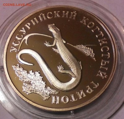 К.К. 1 рубль 2006г, серебро, Уссурийский Когтистый Тритон. - IMG_20150407_192610
