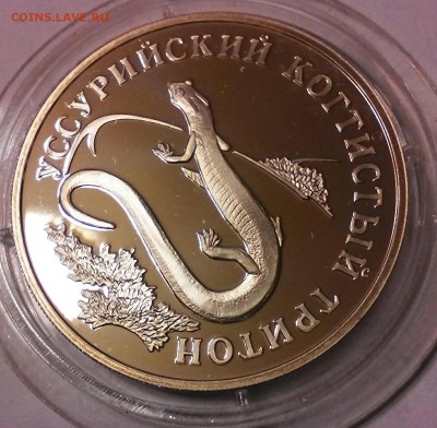 К.К. 1 рубль 2006г, серебро, Уссурийский Когтистый Тритон. - IMG_20150407_192541