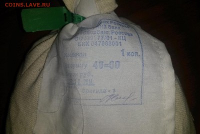 Мешок копеек под пломбой Сбера - 20150407_203127
