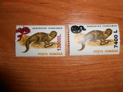 Выдры, Румыния, чистые, надпечатки, до 12.04.2015 - DSCN6751.JPG