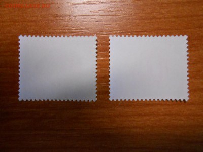 Рыбы, Сингапур, чистые, до 12.04.2015 - DSCN6760.JPG