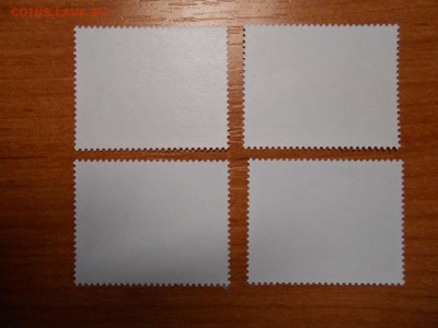 Морские млекопитающие, Южная Георгия, полная серия, чистые - DSCN6766.JPG
