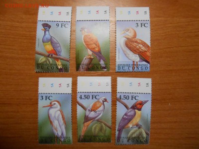 Птицы, Конго, полная серия, чистые, до 12.04.2015 - DSCN6773.JPG