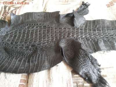 Изделия из кожи крокодила и питона. - 20120106_124749