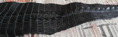 Изделия из кожи крокодила и питона. - 20120106_124757
