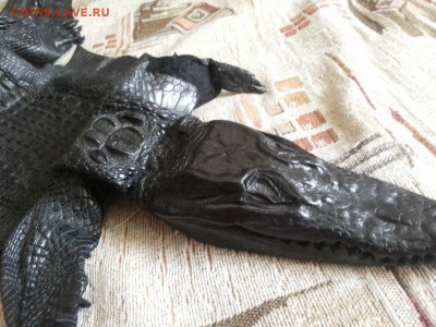 Изделия из кожи крокодила и питона. - 20120106_124812