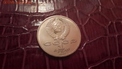 Международный год мира (ШАЛАШ) до 12.04.2015 г. - 20150408_213609