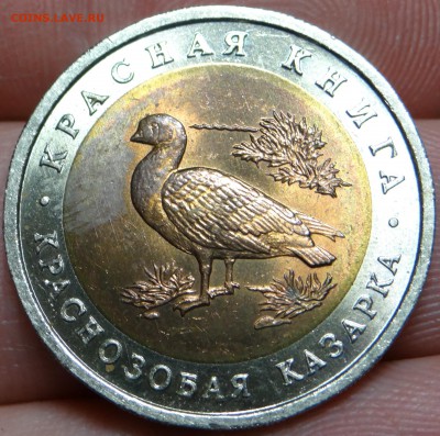 Красная Книга 1992 "Краснозобая Казарка" UNC до 11.04 - DSC03205.JPG