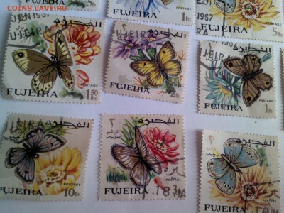 Оценка марок Fujeira-бабочки - л 233