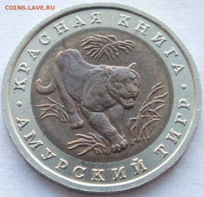м 10 рублей 1992 года " Амурский тигр" определение, оценка - DSCF0955