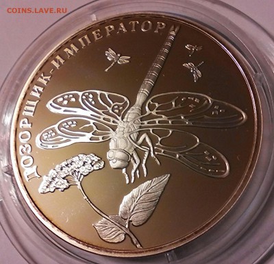 К.К. 2 рубля 2008год, серебро, с сертификатом, Дозорщик Имп. - IMG_20150409_193757