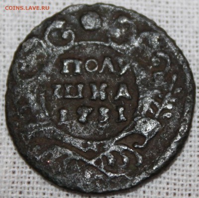 Полушка 1731г. Прошу оценить. - IMG_8031.JPG