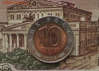 КК 10 р. Краснозобая казарка, 1992г.до 15.04.15г.22:00 (мск) - DSCN0002.JPG